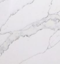 White Calacatta Quartz surface showing bold grey veining on a bright white background