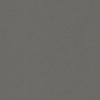 Gris Expo Quartz slab close-up showing even mid-grey colour with delicate fine grain across the surface