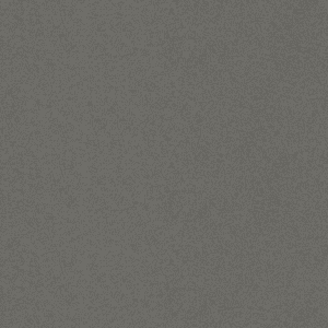 Gris Expo Quartz slab close-up showing even mid-grey colour with delicate fine grain across the surface