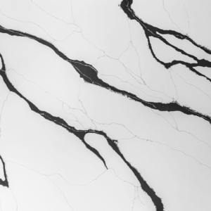 Black Calacatta Quartz