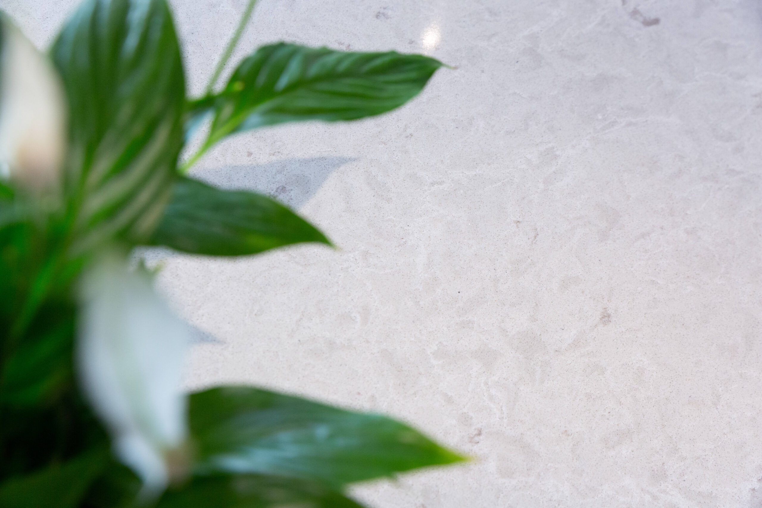 Grey Drift Quartz close-up showing soft stone-effect movement and pale grey tonal variation beside greenery